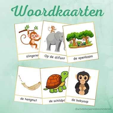 Lesmateriaal Kleine Aap - woordkaarten van auteur Nanny Melissa