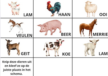 Lesmateriaal True van auteur Juf Krisje