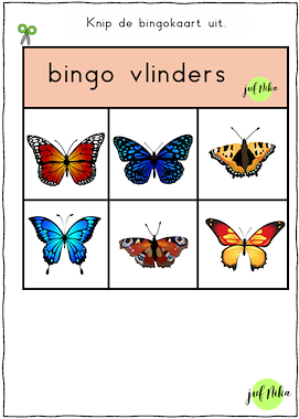 Lesmateriaal Bingo vlinders van auteur Juf Nika slide 2