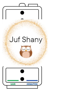 Lesmateriaal True van auteur Juf Shany