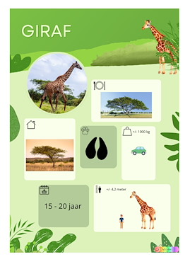 Lesmateriaal Thema dierentuin: dieren info fiches van auteur Juf EvVa slide 2