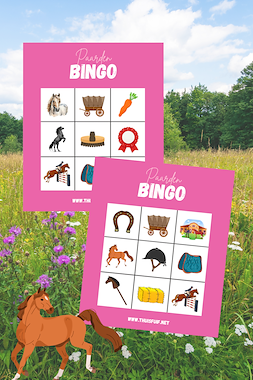Lesmateriaal Paardenbingo van auteur Thuisfuif