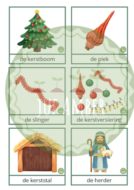 Lesmateriaal True van auteur juf_Amber