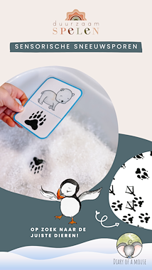 lesmateriaal Sensorische Sneeuwsporen van auteur Peggy Wijnholds