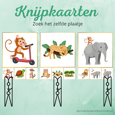 Lesmateriaal Kleine Aap - knijpkaarten zelfde plaatje van auteur Nanny Melissa