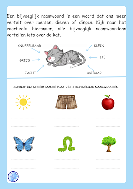 Lesmateriaal Bijvoeglijk naamwoorden van auteur Alexandra Wit slide 2