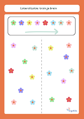 lesmateriaal bundel lateralisatie - brein oefeningen van auteur ErgoKids