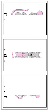 Lesmateriaal Mkm woordjes maken van auteur Juf Monique slide 2