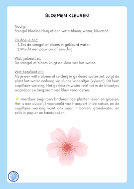 Lesmateriaal False van auteur Alexandra Wit