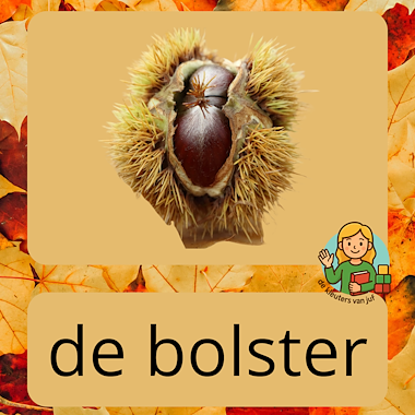 Lesmateriaal Bee Bot- of woordenschatkaarten: herfst van auteur De kleuters van juf Naomi slide 2