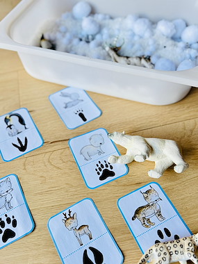 Lesmateriaal Sensorische Sneeuwsporen van auteur Peggy Wijnholds slide 4