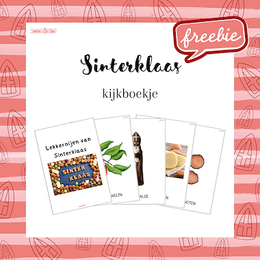 Lesmateriaal True van auteur MiaenCo