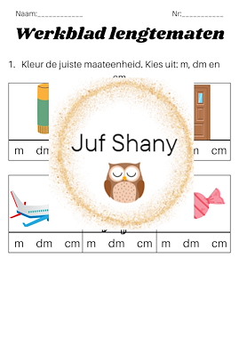 Lesmateriaal True van auteur Juf Shany
