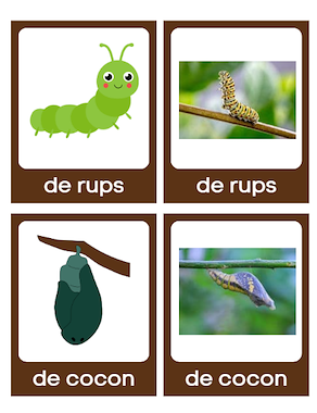 Lesmateriaal Woordkaarten Rupsje nooitgenoeg  van auteur CreabeeS slide 2