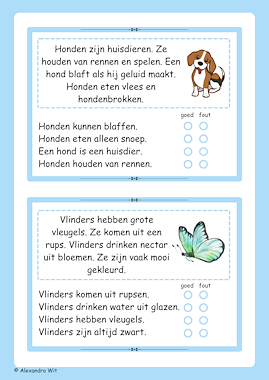 Lesmateriaal Van lezen naar begrijpen (AVI 3-4) van auteur Alexandra Wit