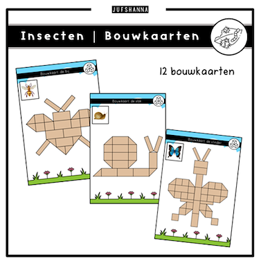 Lesmateriaal Thema insecten | 12 bouwkaarten van auteur Juf Shanna