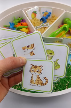 Lesmateriaal True van auteur SB Speelplezier