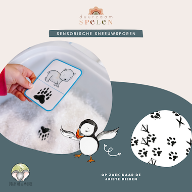 Lesmateriaal Sensorische Sneeuwsporen van auteur Peggy Wijnholds