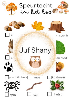 Lesmateriaal False van auteur Juf Shany