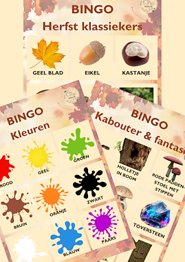 Lesmateriaal Herfstbingo van auteur Noallie
