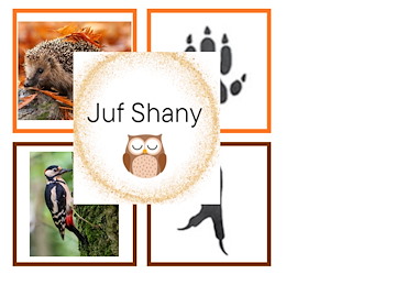 Lesmateriaal True van auteur Juf Shany
