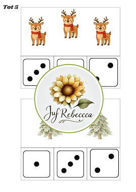 Lesmateriaal True van auteur Juf Rebecca