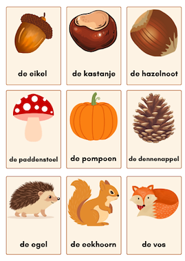 Lesmateriaal Herfst: woordkaarten of bingo van auteur Deklasvanjufdemi