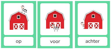 Lesmateriaal True van auteur JufEllen98