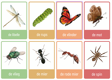 Lesmateriaal Woordkaarten thema insecten en kriebelbeestjes van auteur JufEllen98 slide 2