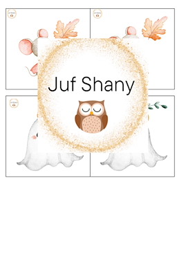Lesmateriaal True van auteur Juf Shany