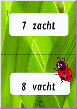 Lesmateriaal propjesdictee woorden met ch of g van auteur Juf Kitty B slide 3