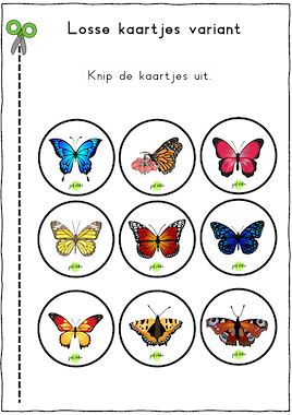 Lesmateriaal Bingo vlinders van auteur Juf Nika slide 4