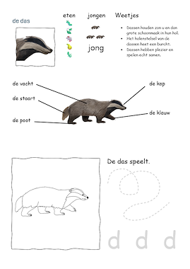 Lesmateriaal Wereldoriëntatie - dieren - 3 praatplaten en lesmateriaal van auteur Lessen en Illustraties Elles slide 4