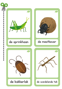 Lesmateriaal Woordkaarten kriebeldieren van auteur Juf Nika slide 3