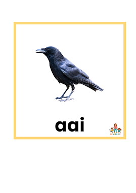 Lesmateriaal True van auteur de beweegjuf