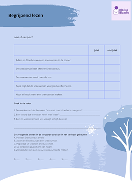 Lesmateriaal Winterbundel 4LJ / GR6 van auteur BlaBlaBlaadje