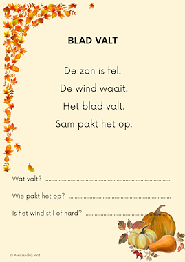 Lesmateriaal AVI START - lezen en begrijpen van auteur Alexandra Wit