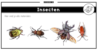 Collectie van lesmaterialen met onderwerp Insecten van auteur Juf Shanna