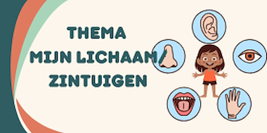 Collectie van lesmaterialen met onderwerp Thema mijn lichaam en zintuigen van auteur Noallie