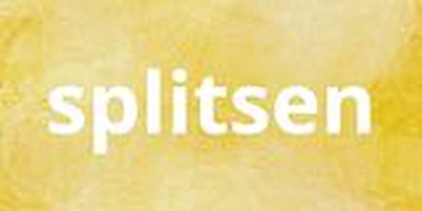 Collectie van lesmaterialen met onderwerp Splitsen van auteur de beweegjuf